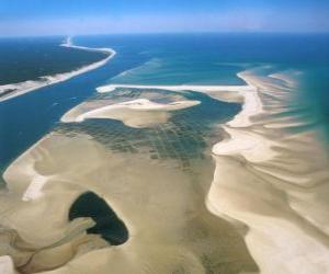пазл Национальный парк Banc d&#039;Arguin, расположенных вдоль побережья Атлантического океана. Мавритания.